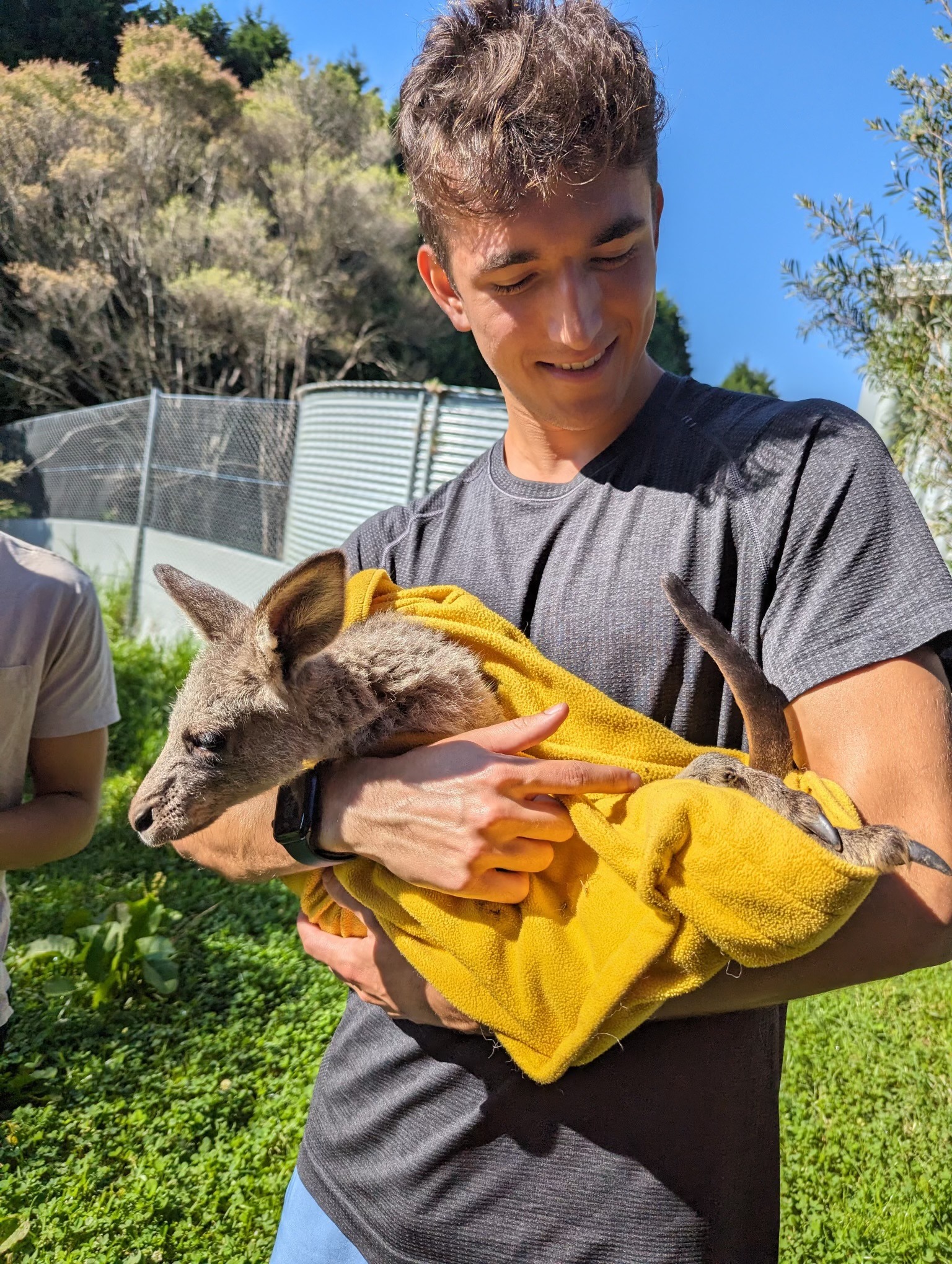 Eric holding a young kangaroo wrapped in a yellow towel.