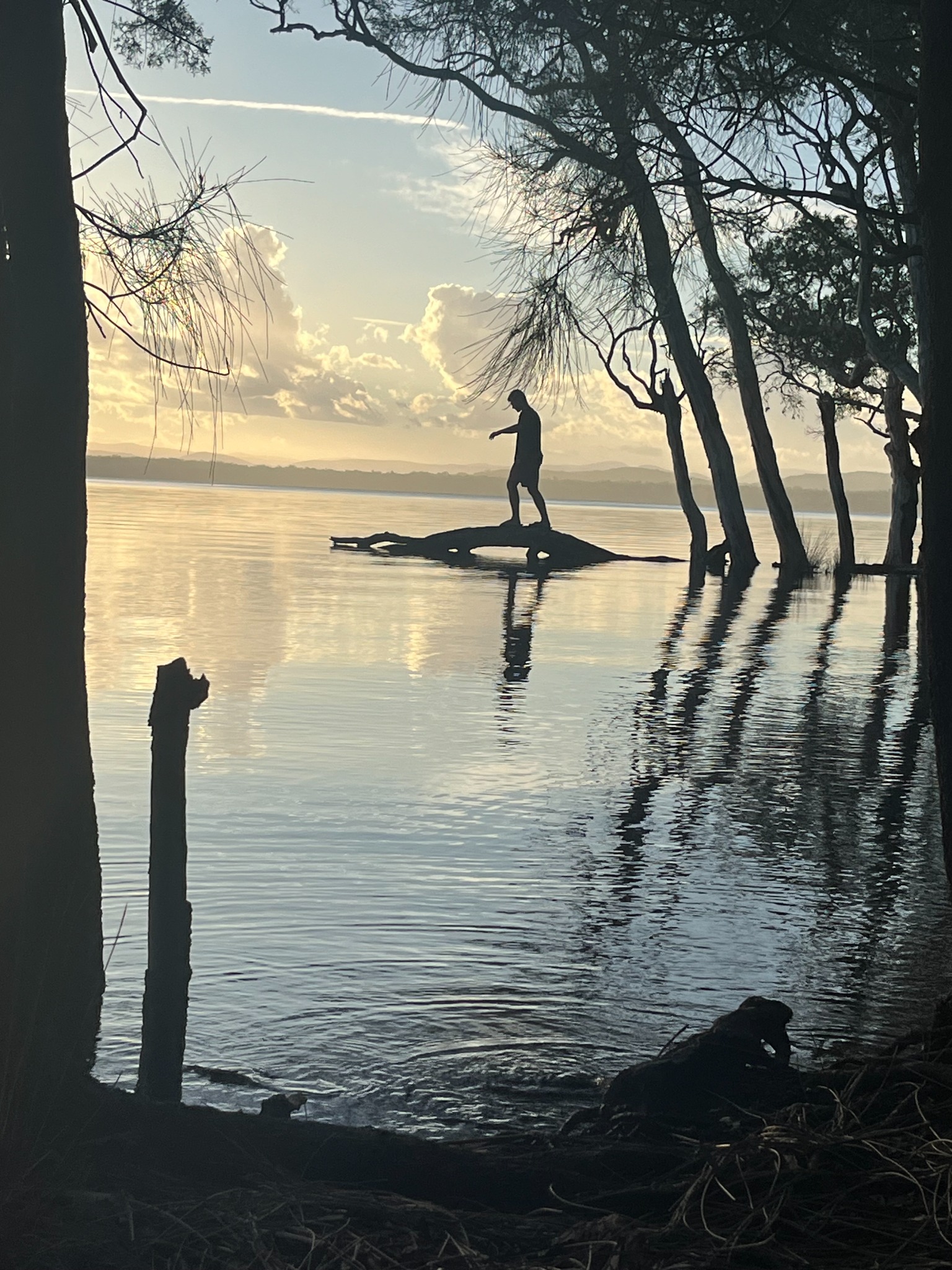 A person standing on a fallen tree beside a quiet lake at sunset.